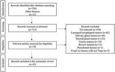 Deciphering the Role of Regulatory CD4 T Cells in Oral and Oropharyngeal Cancer: A Systematic Review